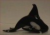 L 316 Orca 3 mis.