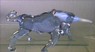 Taureau Parme L442